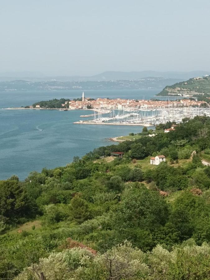 Casa Furlan Apartman Izola Kültér fotó