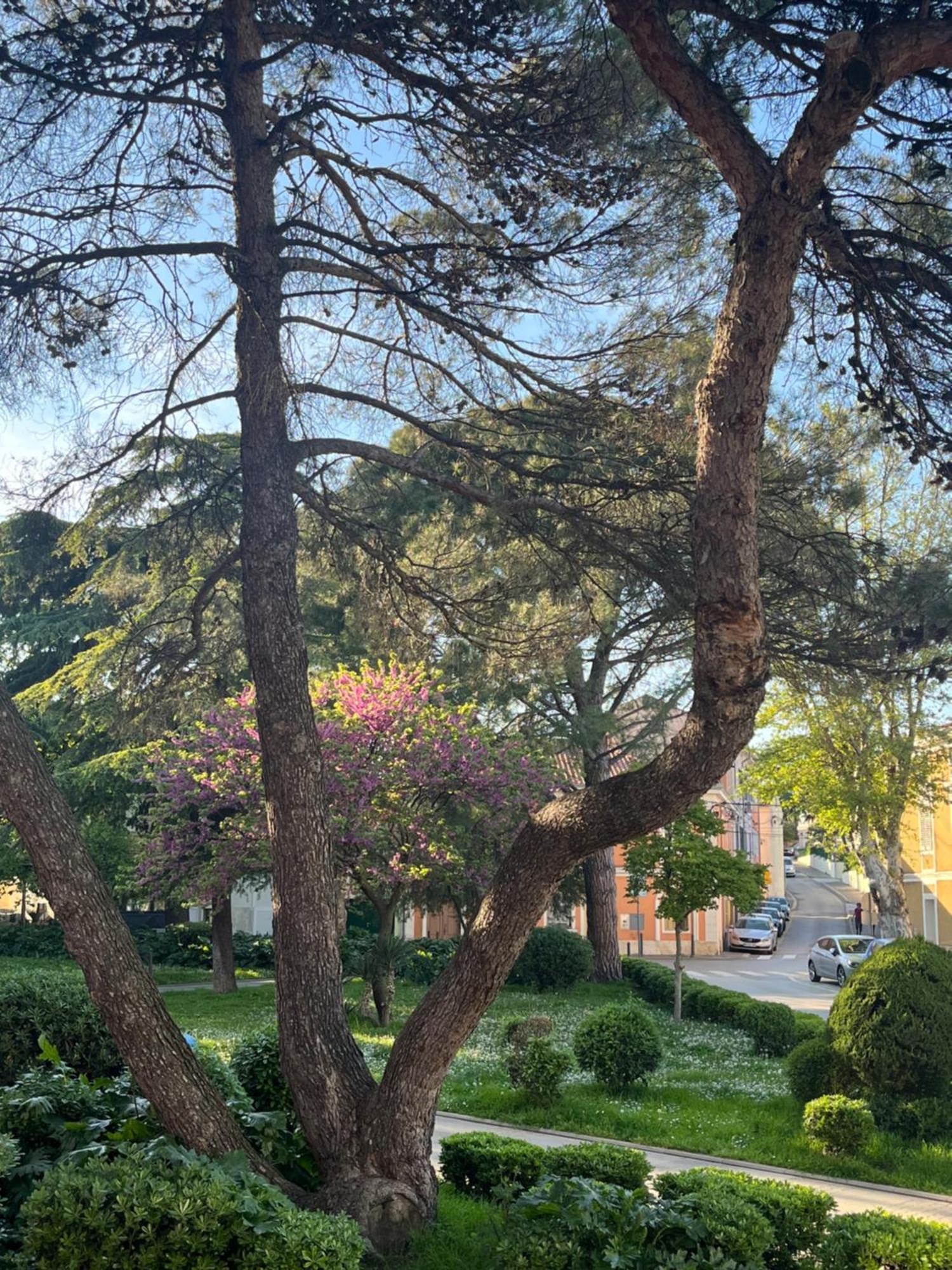 Casa Furlan Apartman Izola Kültér fotó